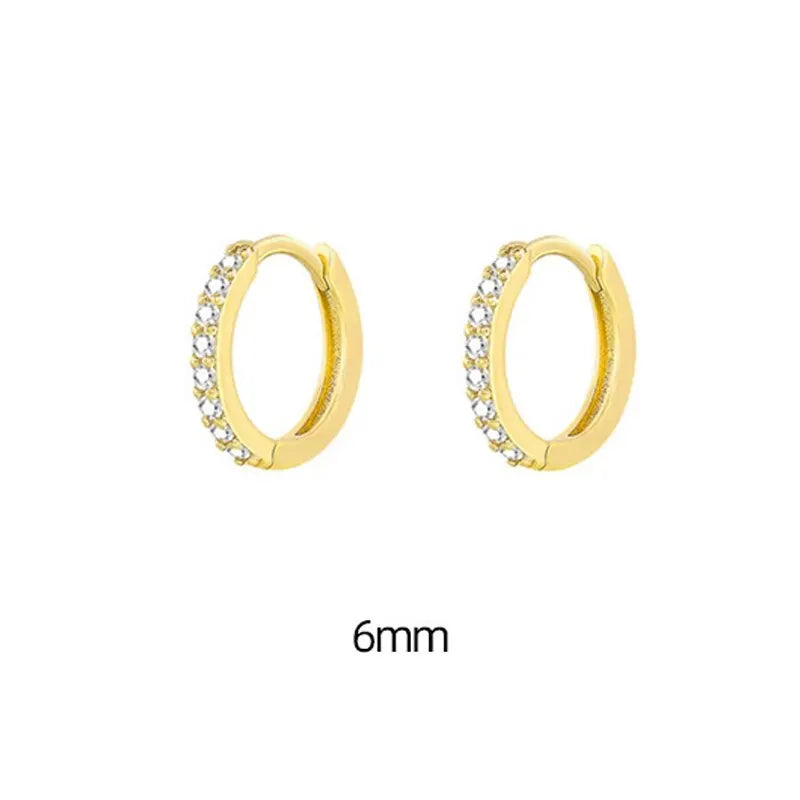 Luxe Hoop Earrings
