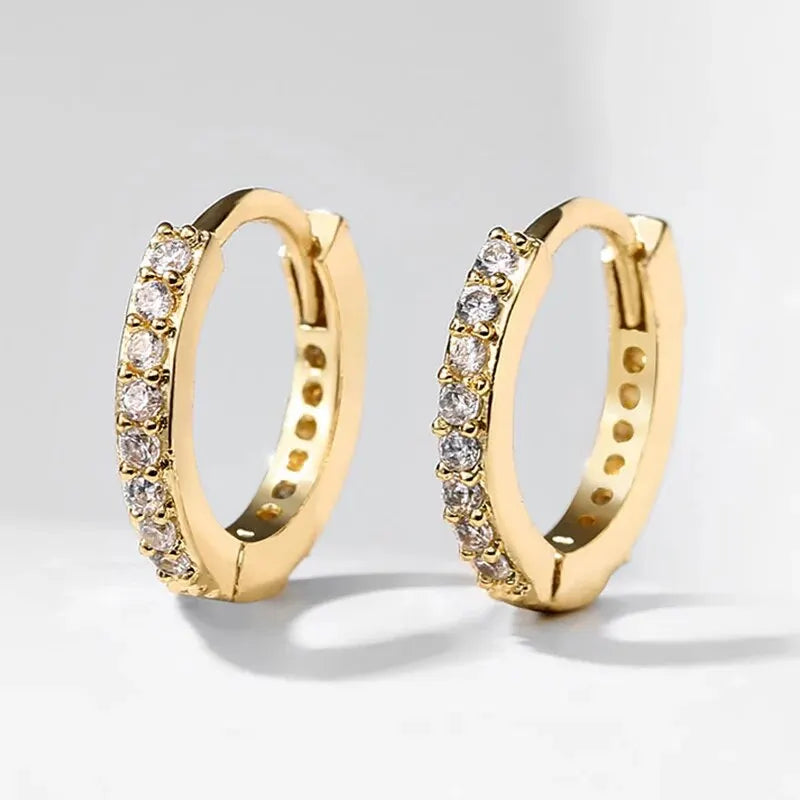 Luxe Hoop Earrings