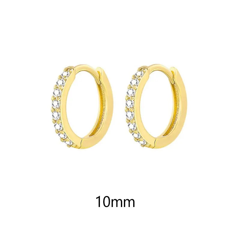 Luxe Hoop Earrings